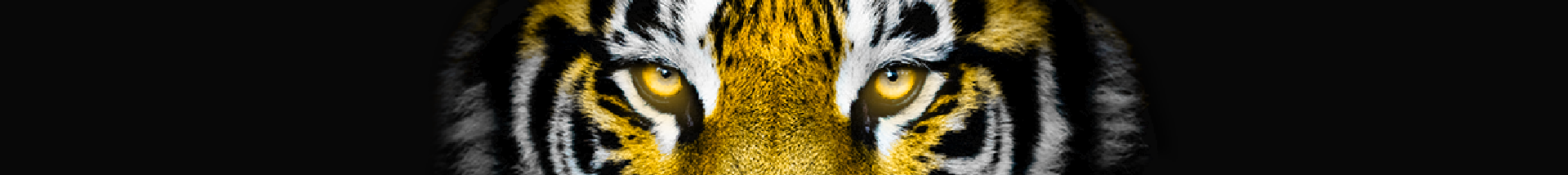 Diventa partner City-rent